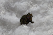 Load image into Gallery viewer, Gitrog Monster Acrylic Pin