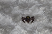 Load image into Gallery viewer, Liesa Acrylic Pin