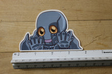 Load image into Gallery viewer, Karn Peeker