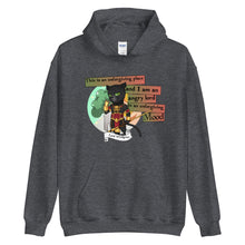 Load image into Gallery viewer, Lord Windgrace Unisex Hoodie
