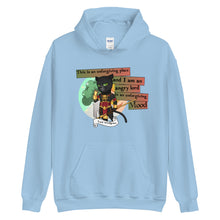 Load image into Gallery viewer, Lord Windgrace Unisex Hoodie
